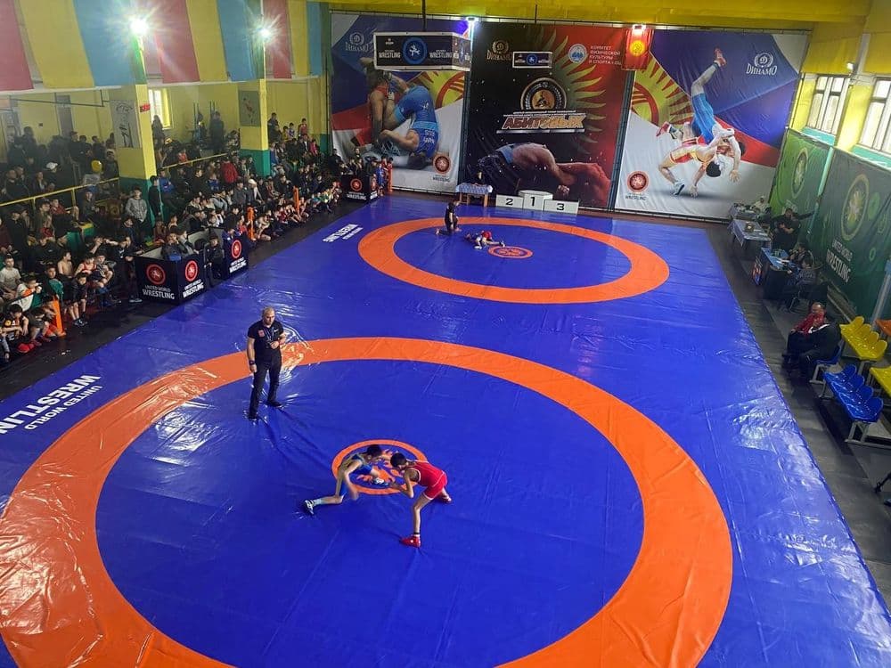 Олимпийский ковер мат татами Kurash kavyor mat маты для Актагон — 4