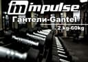 Гантели полиуретановые  Poliulitan Gantel