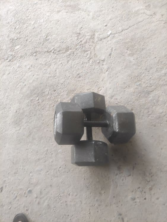 Gantel 15 kg dan 2 ta — 1