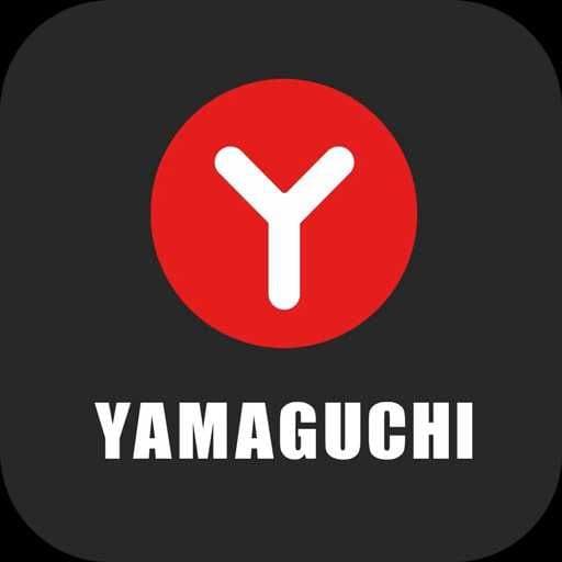Спортивный валик Yamaguchi Roll 2in1 — 6