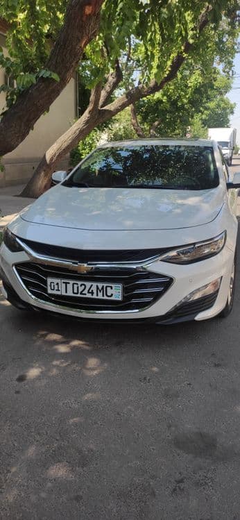 MALIBU 2 VA JETOUR Dashing Sayoxat va Ziyorat qiluvchilar uchun Biznes — 2