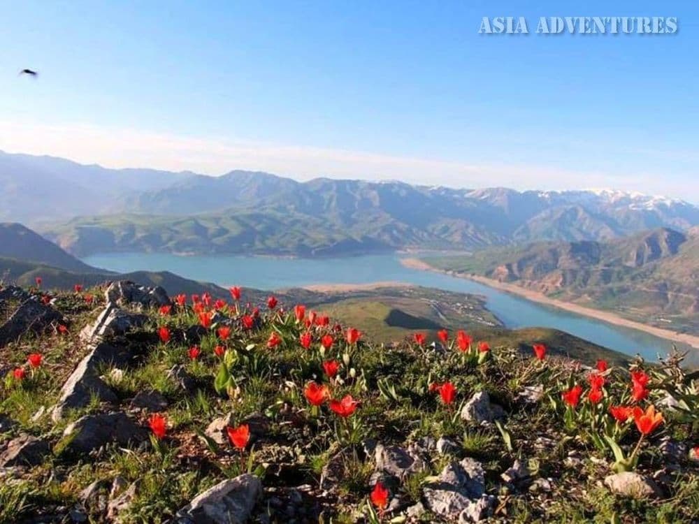 Trip to the Mountains | CHARVAK | CHIMGAN | BOCHKA — 5