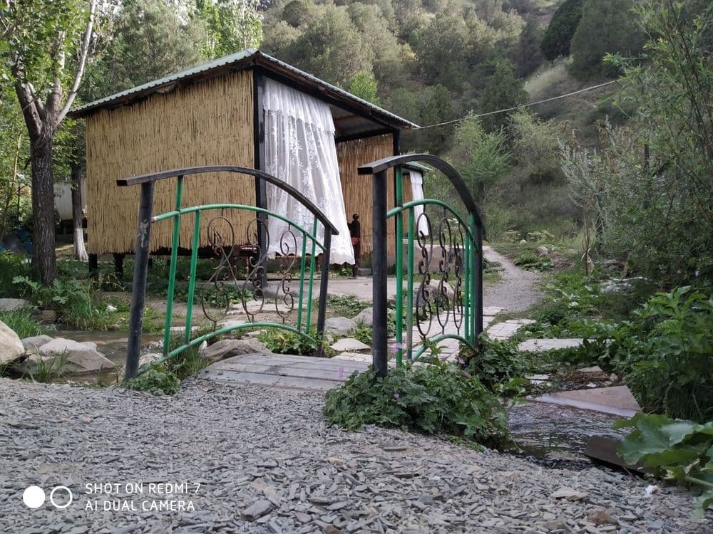 Zomin togʻlarida dam oling — 4