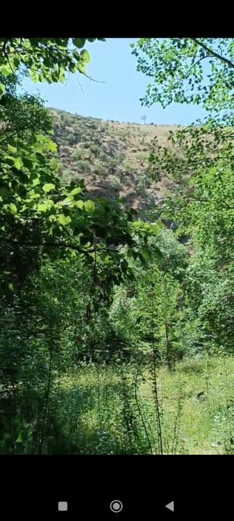 Бизнес режа. Зўр даромад кўриш режаси. — 2