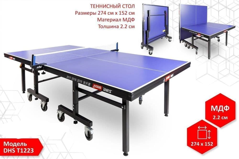 Настольный теннис Теннисный стол профессиональный DHS T1223 RAINBOW — 1