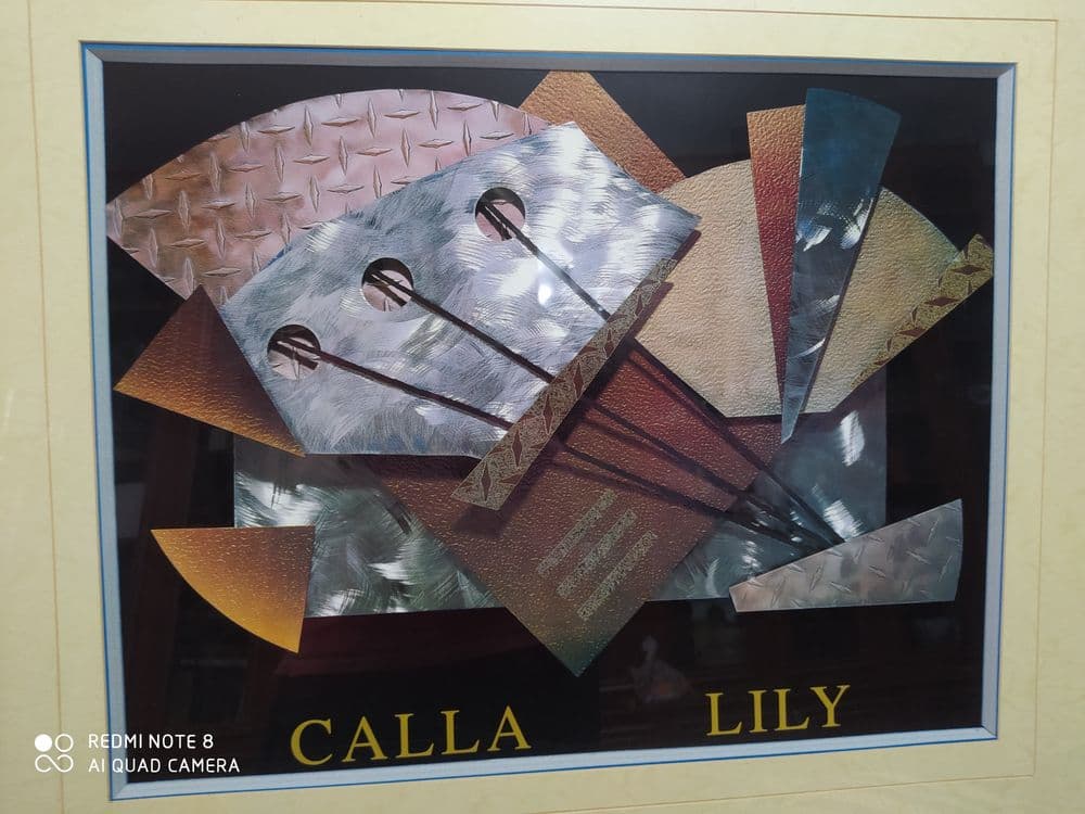 Картина "Galla LiLy" в рамке со стеклом — 4