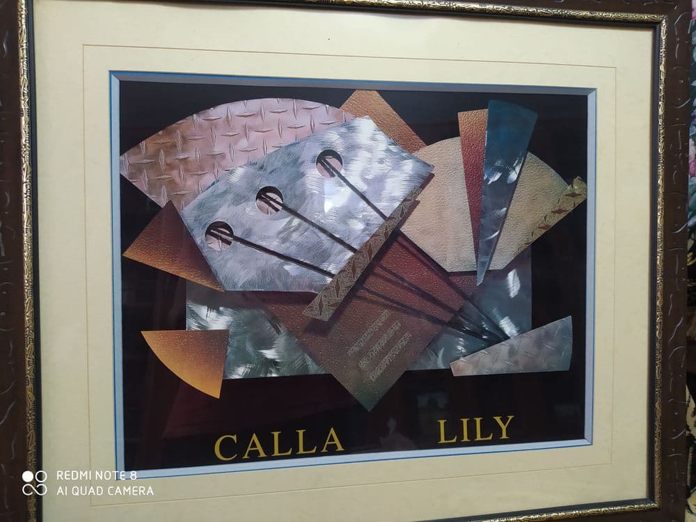 Картина "Galla LiLy" в рамке со стеклом — 5