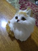 Продам сувенирного котенка