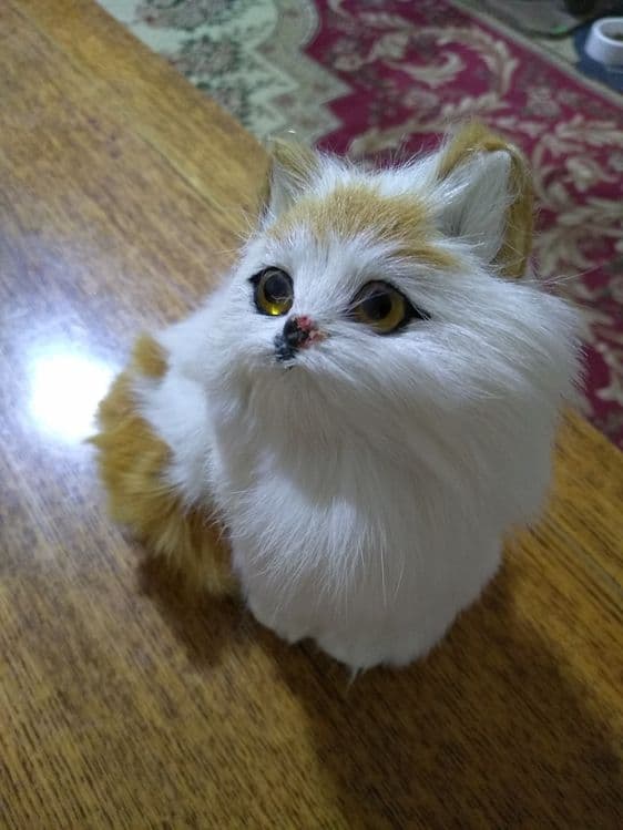 Продам сувенирного котенка — 1