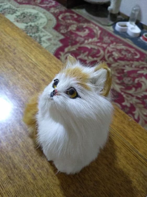 Продам сувенирного котенка — 4