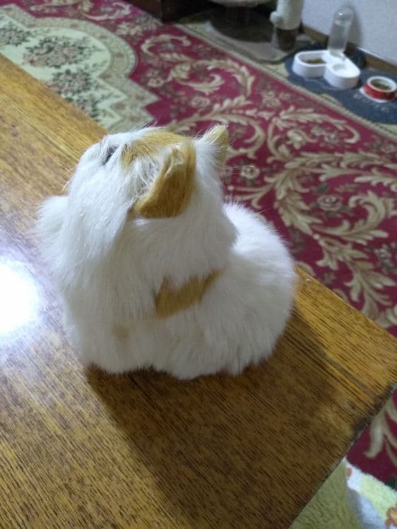 Продам сувенирного котенка — 5