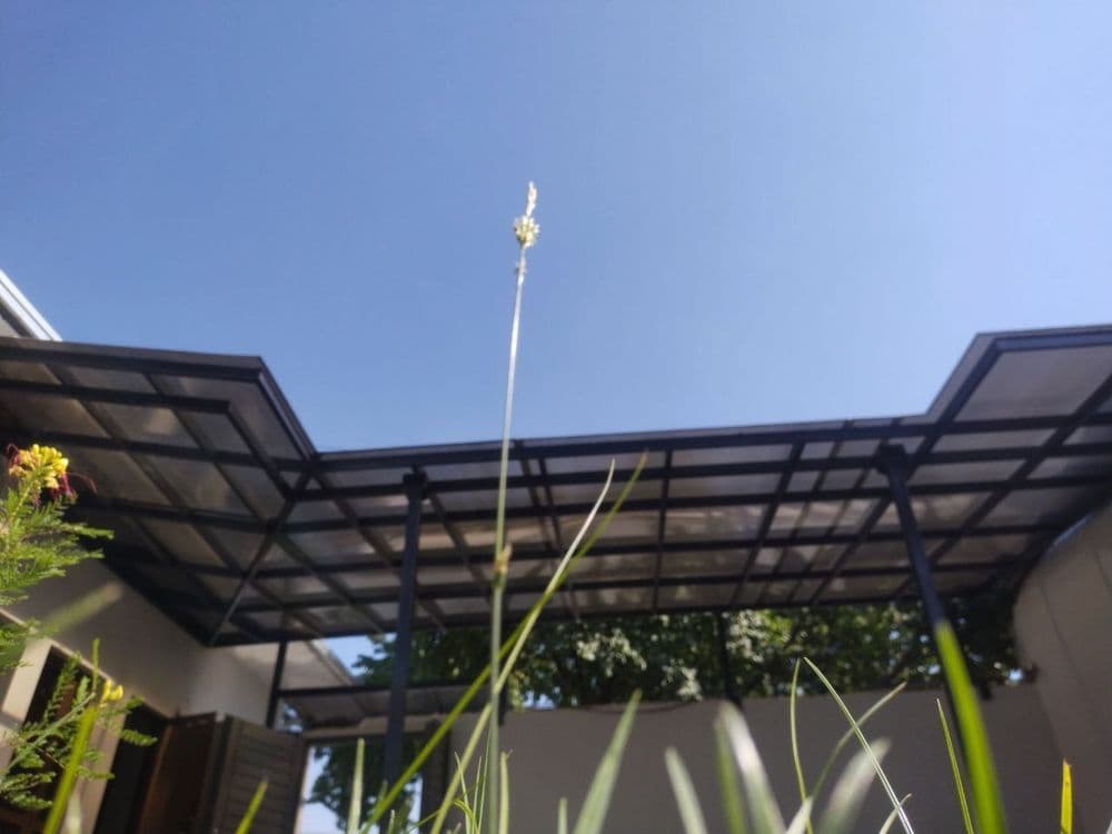 Leksan ustasi mutahasis — 3