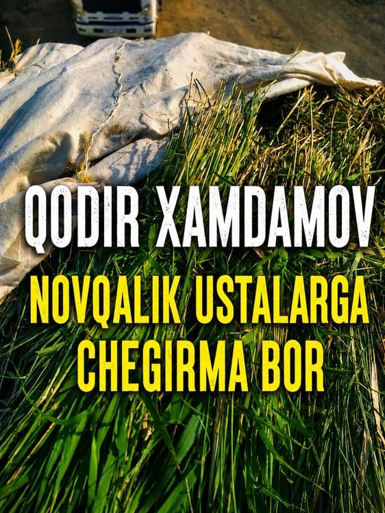 Qamish yetkazib beraman bog‘i katta katta  Sveji o‘rilgan — 3