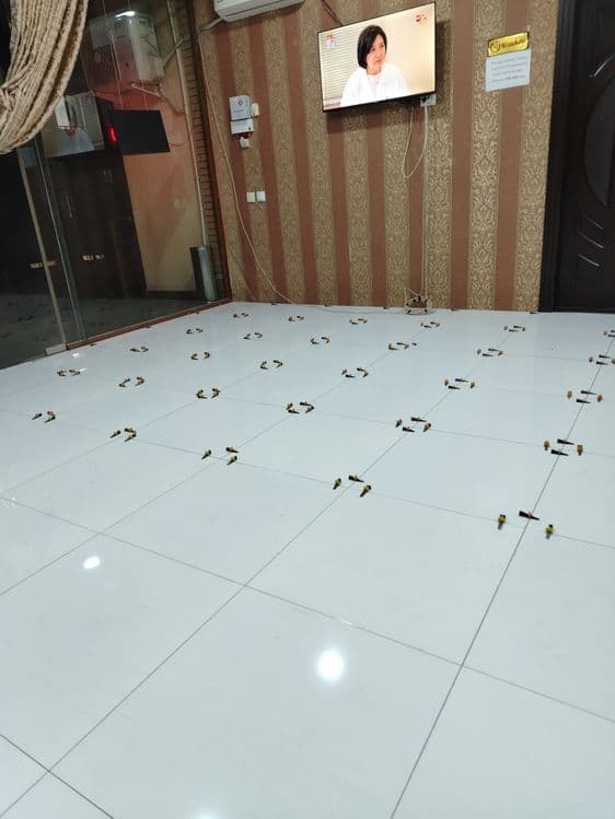 Кафель терамиз тел килинг нархини келишиб оламиз — 1