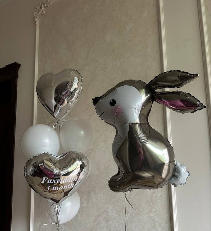 Гельвией шар воздушный — 5