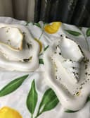 Новинка! свечи ракушка