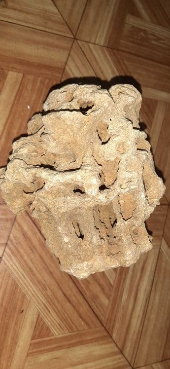 Уникальный исторический камень со дна моря — 4