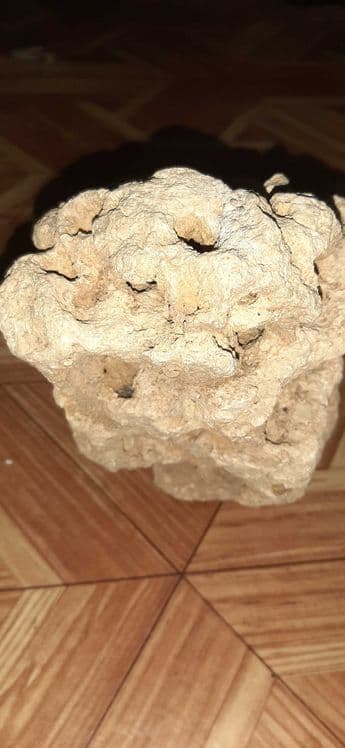 Уникальный исторический камень со дна моря — 5