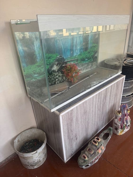 Akvarium yaxshi xolatda — 5