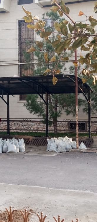 Rishotka, naves, perila, agrajdeniya va barcha turdagi sivarka xizmatl — 8