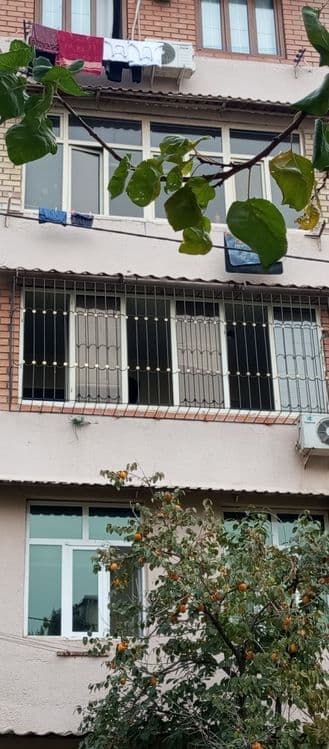 Rishotka, naves, perila, agrajdeniya va barcha turdagi sivarka xizmatl — 6