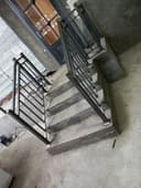 Naves rishotka perilla
