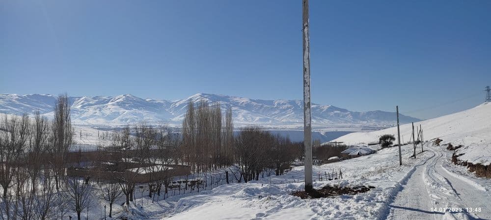 Stalba ornatish va joyidan kochirish — 3