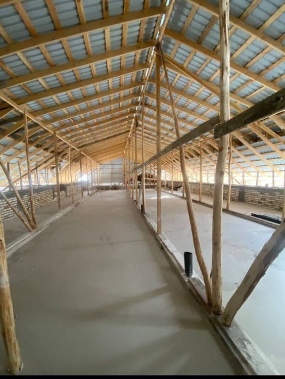 Penalomboz,tombosti ,lomboz ломбоз, томшувок томбости,чернопотолокpena — 3