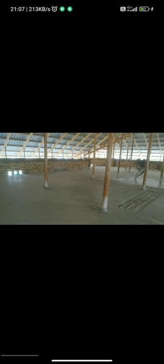 Penalomboz,tombosti ,lomboz ломбоз, томшувок томбости,черно потолок — 6