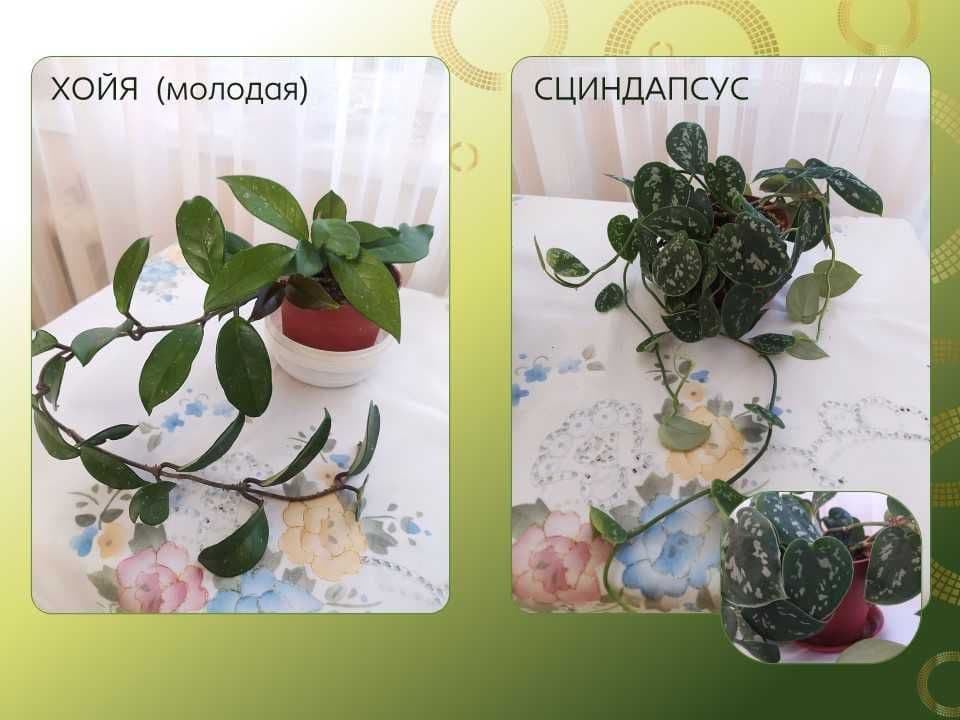 Стеллаж стеклянный с подсветкой, недорого, срочно — 4