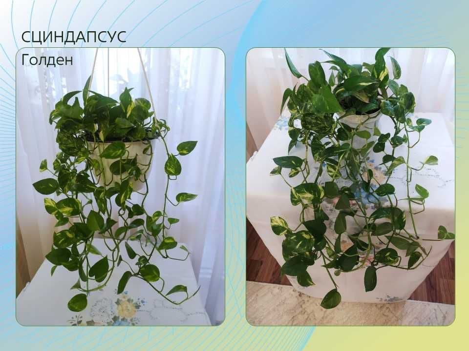 Стеллаж стеклянный с подсветкой, недорого, срочно — 5