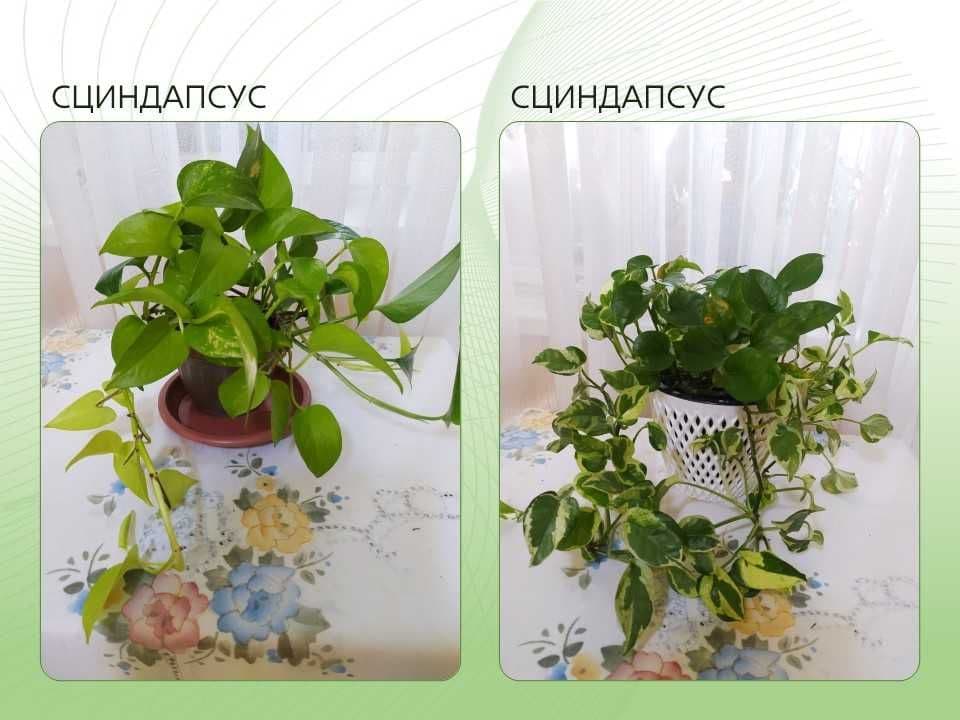 Стеллаж стеклянный с подсветкой, недорого, срочно — 8