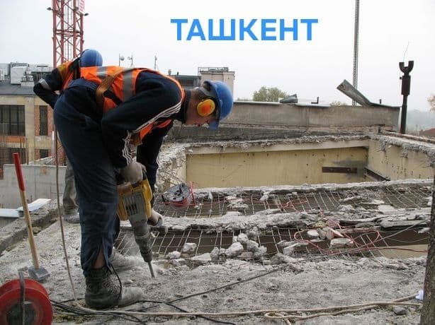 Daraxt kesish butash.услуга бензапела — 4
