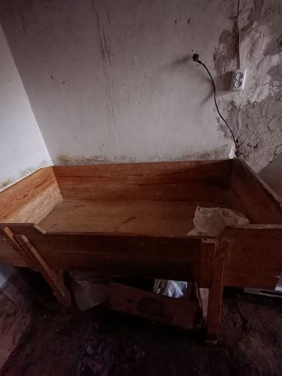 Ханпа сотилади яхши баққуват — 1