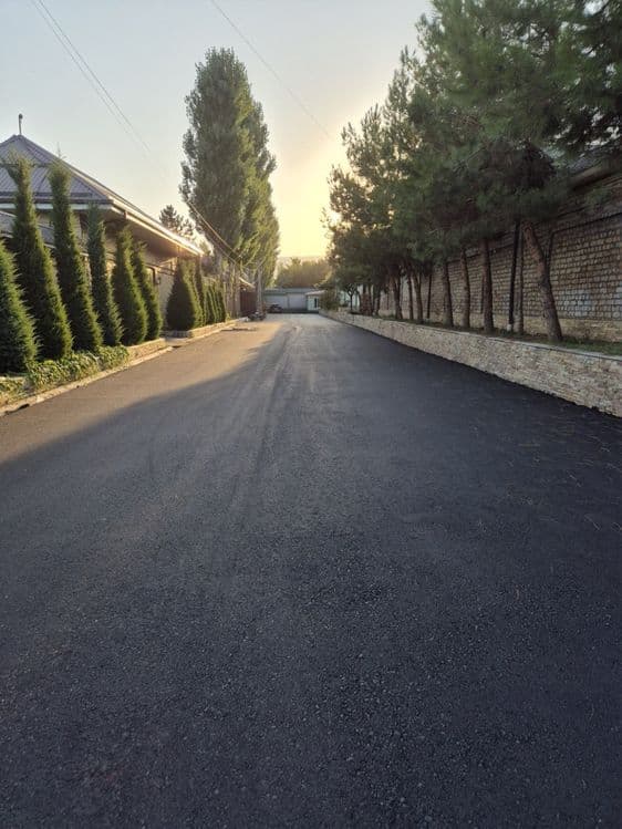 Asphalt | bruschatka — 5