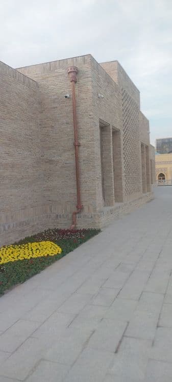 Облесовка гиштларини терамиз — 1