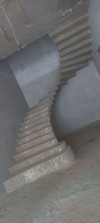 Zinach lesnitsa zinapocha — 1