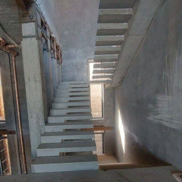 Зина леснитца (beton zina) — 2