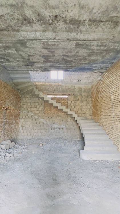 Зина леснитца (beton zina) — 5