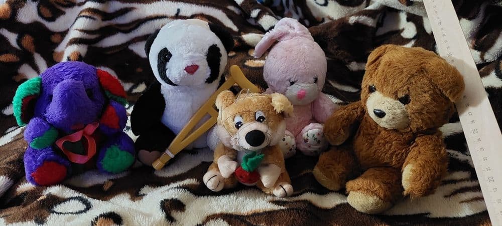 Мягкие игрушки, по 15000каждая — 1