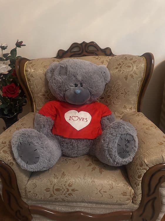Оригинальный Teddy айик (мягкая игрушка) — 1
