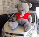 Teddy ayiq 1metrli