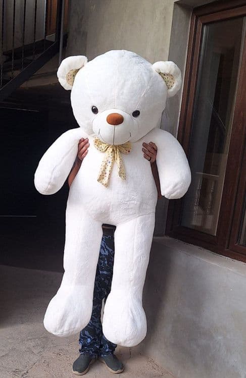 Ayiq teddy Teddy — 3