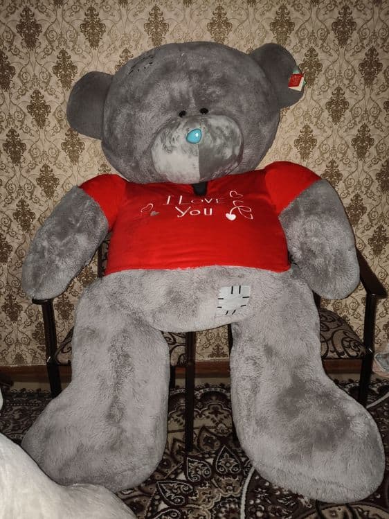 TEDDY.  Сотилади. 2 МЕТР. — 2