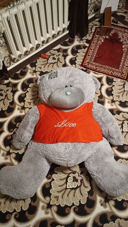 Teddy ayig'i kattasi — 2