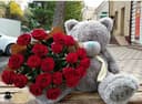 Teddi,Teddiy Teddy ayiqchalari