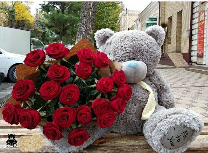 Teddi,Teddiy Teddy ayiqchalari — 1