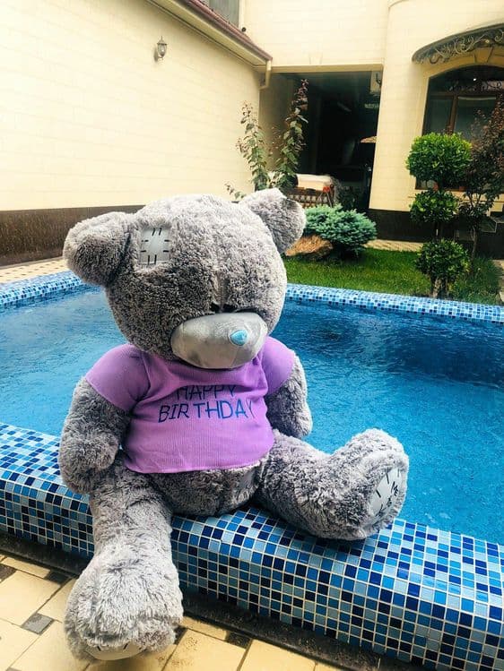 Teddi,Teddiy Teddy ayiqchalari — 2