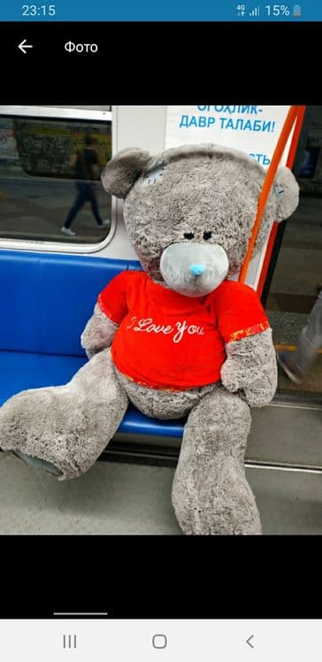 Teddi,Teddiy Teddy ayiqchalari — 3