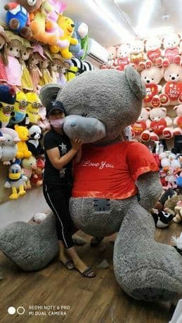 Teddi,Teddiy Teddy ayiqchalari — 4